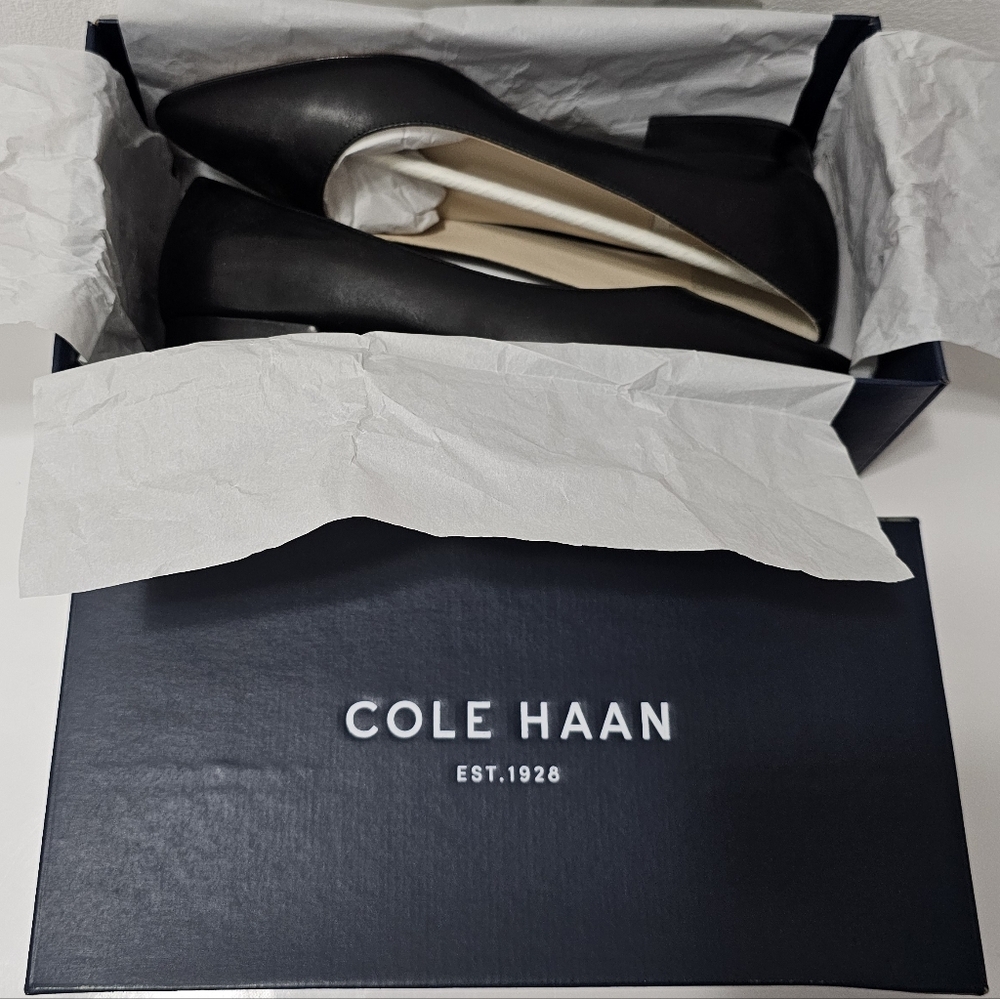 Cole Haan - Vesta Skimmer Flats - Black - Picture 5 of 16